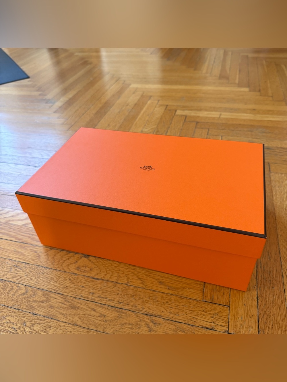 Hermes Large Shoe Box